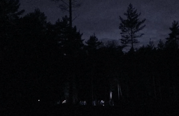 Dusk Walkers